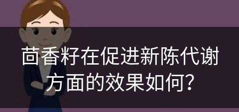 茴香籽在促进新陈代谢方面的效果如何？